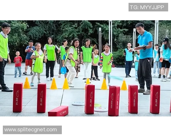 飞盘实力榜单出炉深圳飞盘队荣获第五名展现强劲实力