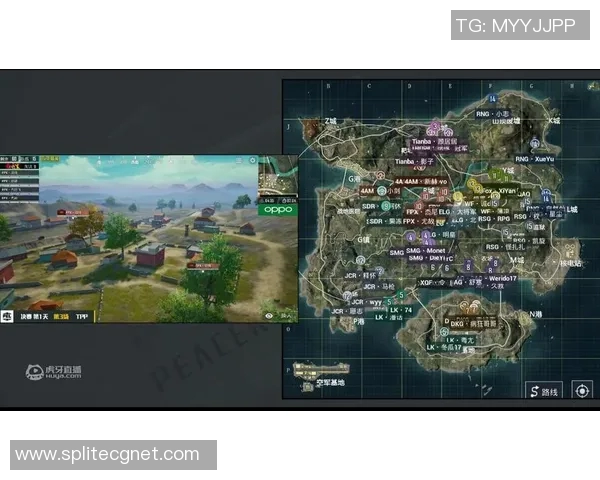 RNG在和平精英中的反击之路与策略得失分析