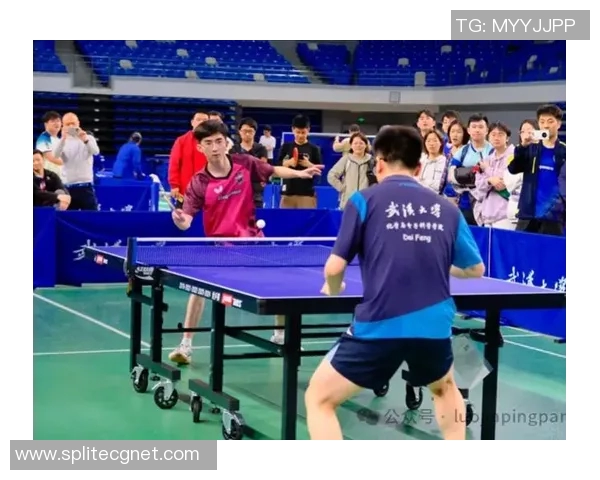 武汉乒乓球队比赛经验分析及其对未来表现的影响探讨