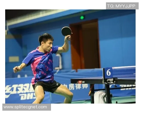 上海乒乓球队灵活性分析及其对比赛策略的影响探讨