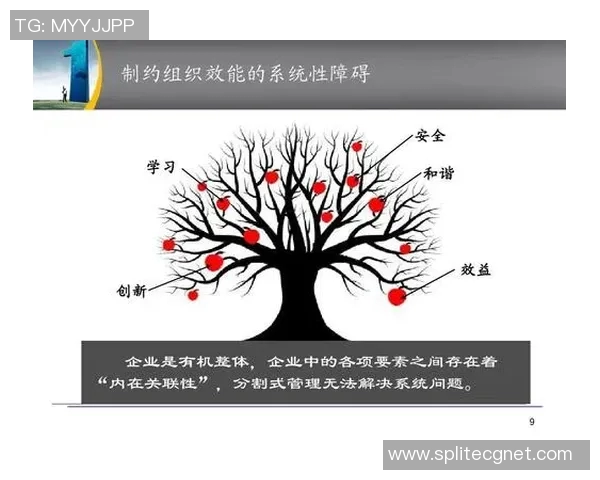 重庆羽毛球队团队协作模式深度解析与其他球队的对比研究