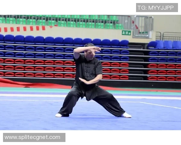 武术文化的传承与创新：探索传统技艺在现代社会中的发展与应用