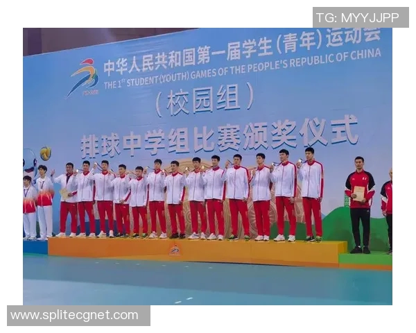 南京排球队的默契配合与战术分析探讨